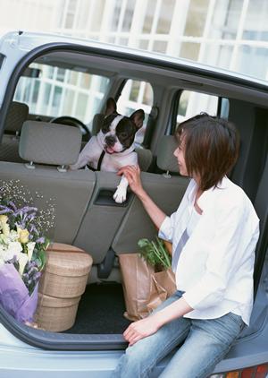 車検のモヤモヤをしっかり解消する