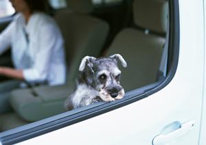 車のことなら何でも相談できます
